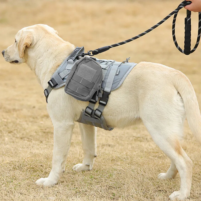 Accessories Training Walking Dog For Medium And Large Dogs